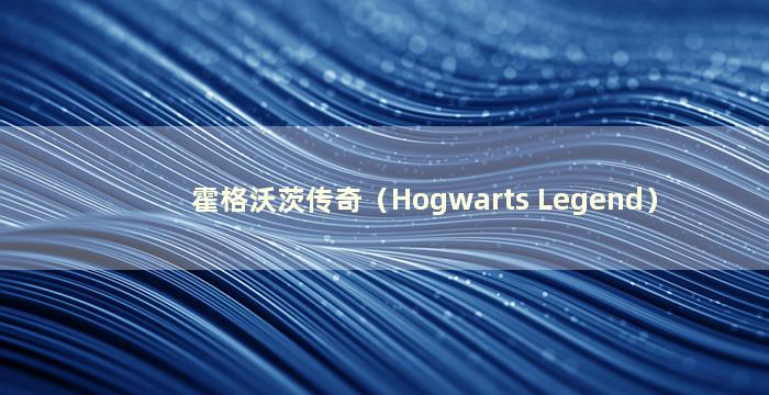 霍格沃茨传奇（Hogwarts Legend）